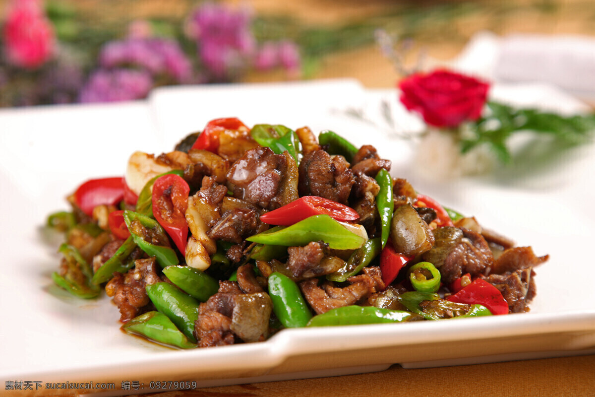 辣椒 爆炒 甲 鱼肉 美食 菜品 菜谱 餐饮 中餐 食品 传统美食 餐饮美食 炒菜 青椒 甲鱼肉 湘菜 高清 写真照片