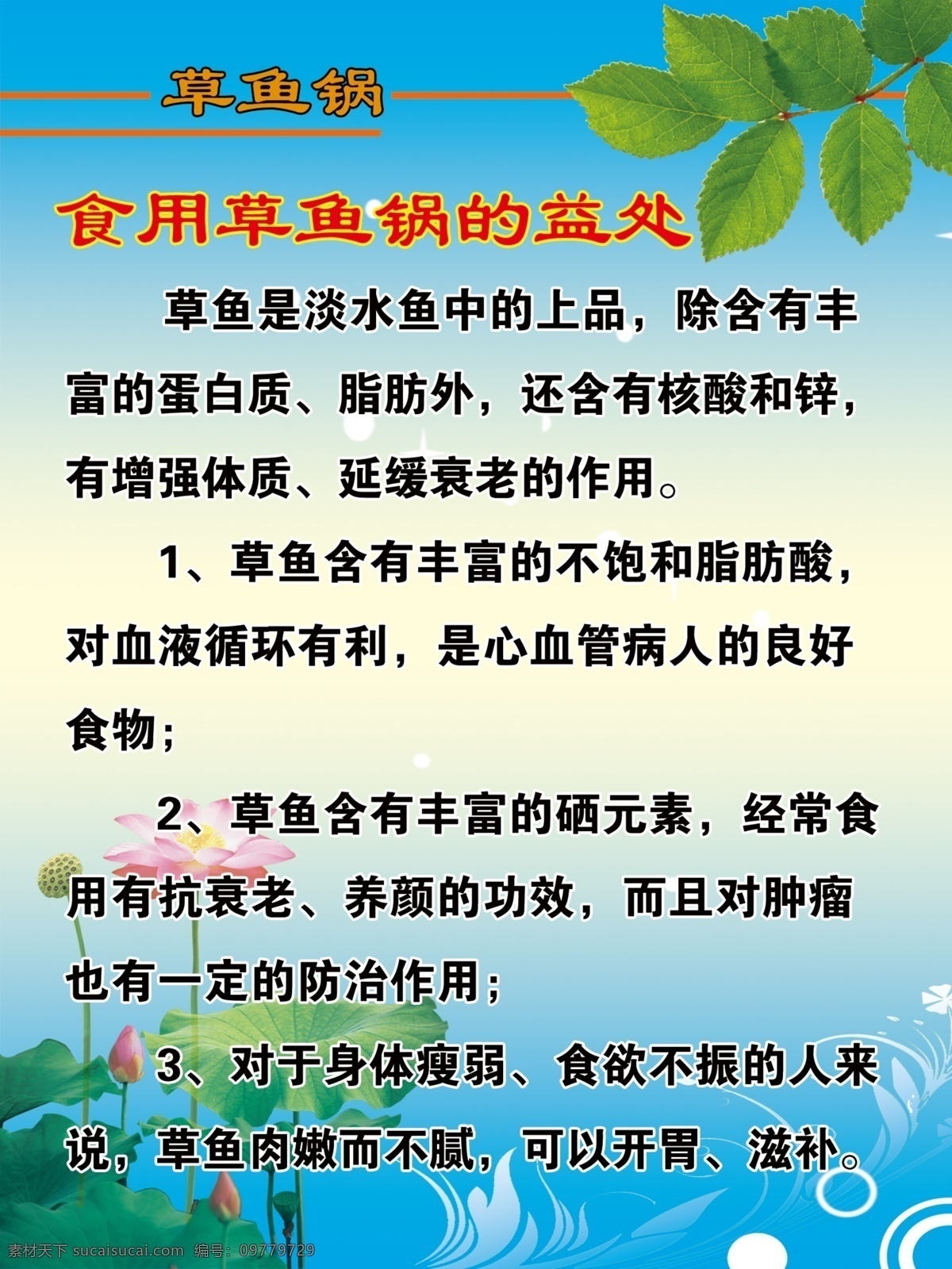 荷花 荷叶 蓝色背景 绿叶 树叶 水纹 鱼锅 鱼锅展板 鱼锅传单 草鱼锅 草鱼锅的益处 食用 草鱼 锅 益处 草鱼锅的意义 其他展板设计