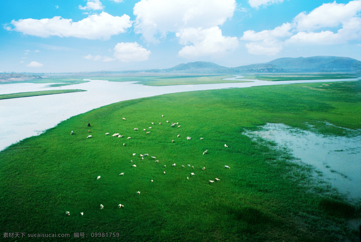 草原 河流 羊群 蓝天 白云 自然景观 自然风景