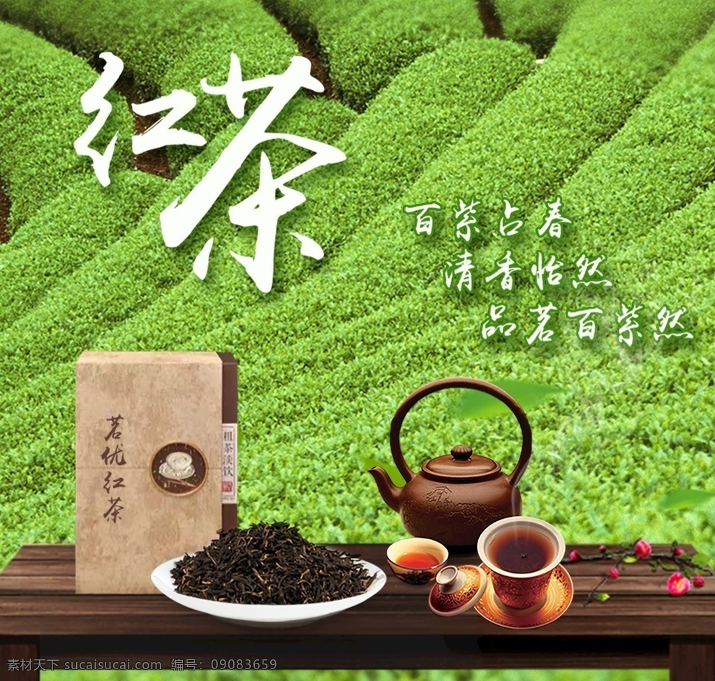红茶图片 红茶 春茶 新茶 茶 茶叶 分层