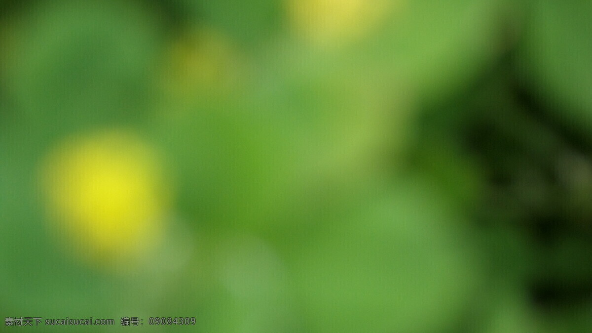 绿色背景 护眼 背景 虚化背景 溶图背景 唯美背景 底纹边框 背景底纹