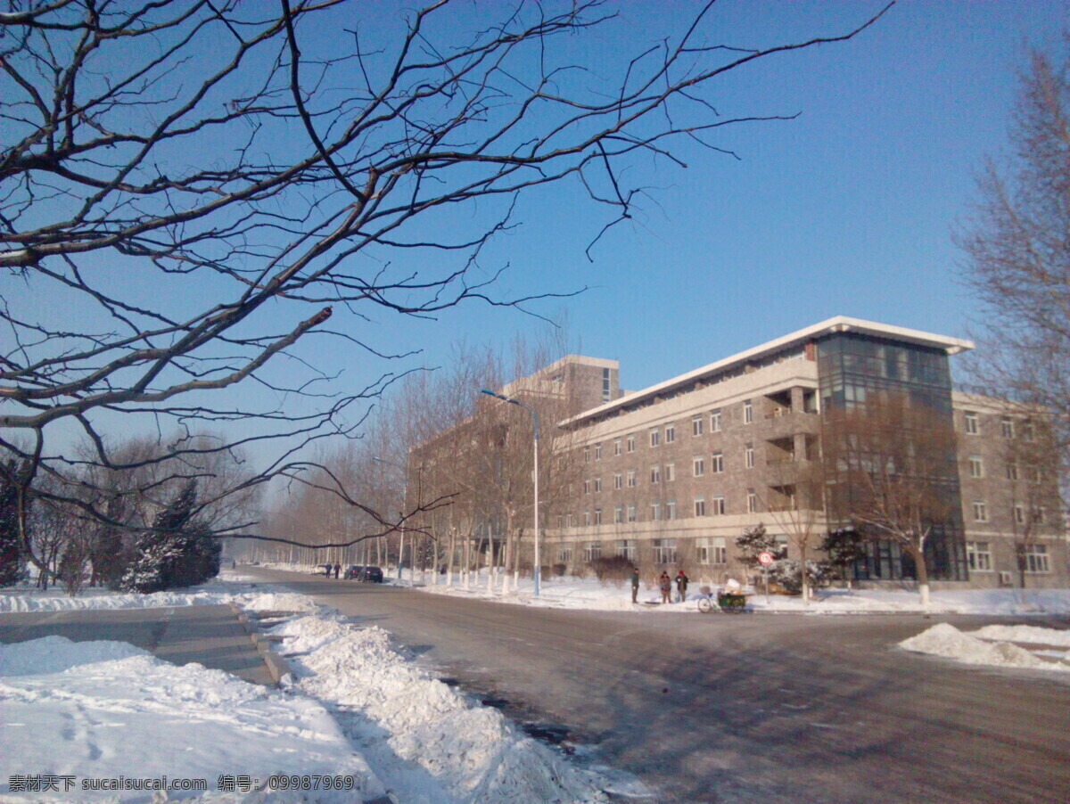 辽宁大学 则行楼 蒲河校区 沈阳 冬雪 旅游摄影 国内旅游