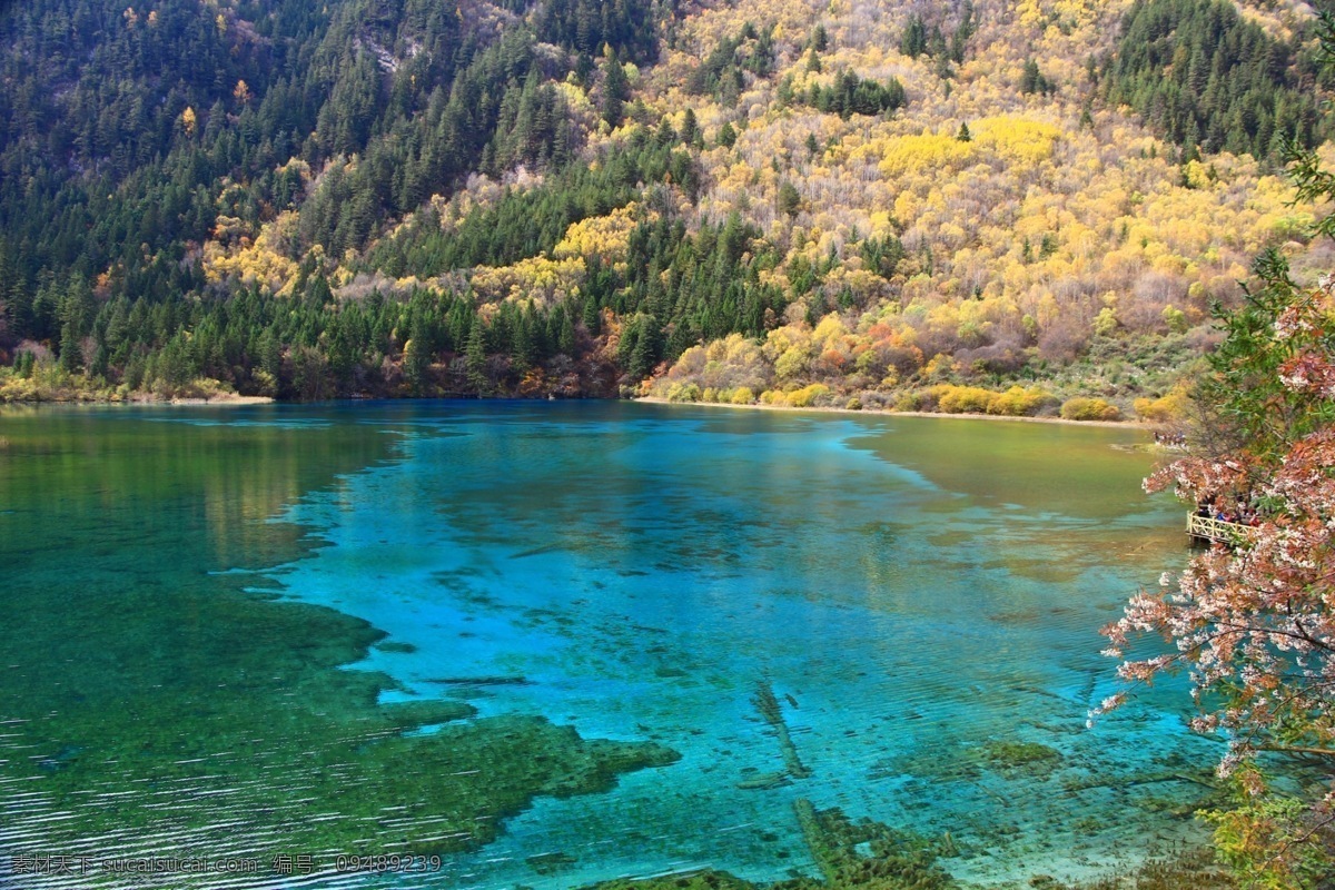 九寨沟 碧水 湖水 高山 树木 树林 九寨沟风光 旅游摄影 国内旅游