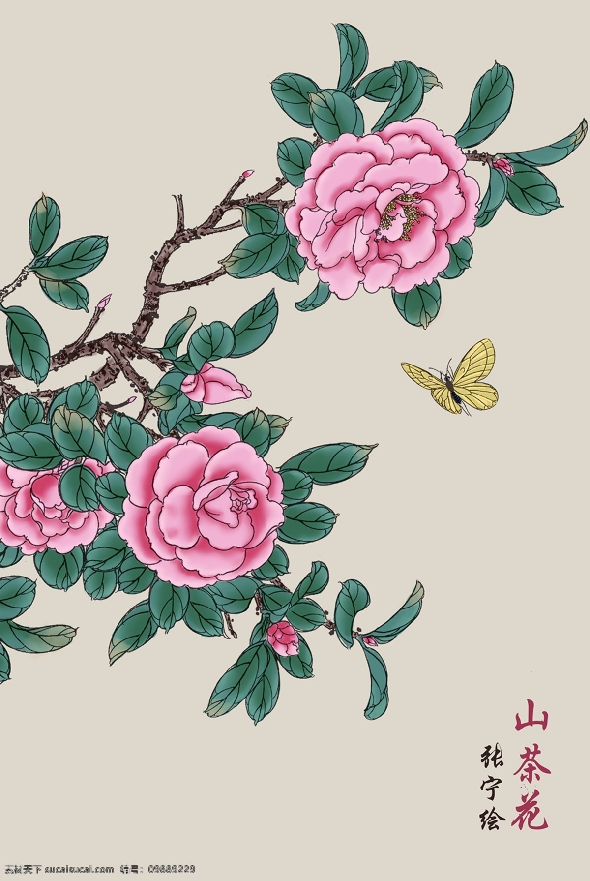 手绘山茶花 山茶花 手绘 蝴蝶 工笔画 花