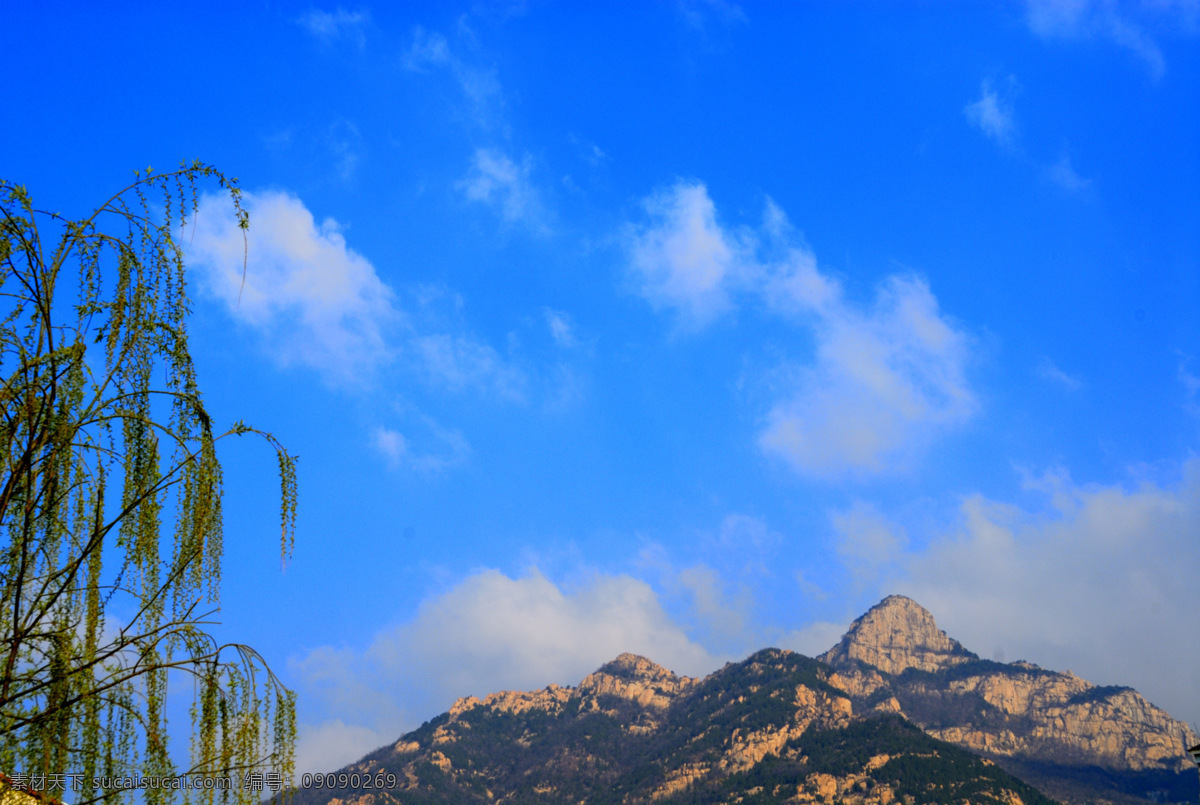 白云 春色 春天 春意 大山 蓝天 柳树 绿树 泰山 风景图片 泰山风景 山峰 岩石 森林 泰山上的风景 山水风景 自然景观 psd源文件