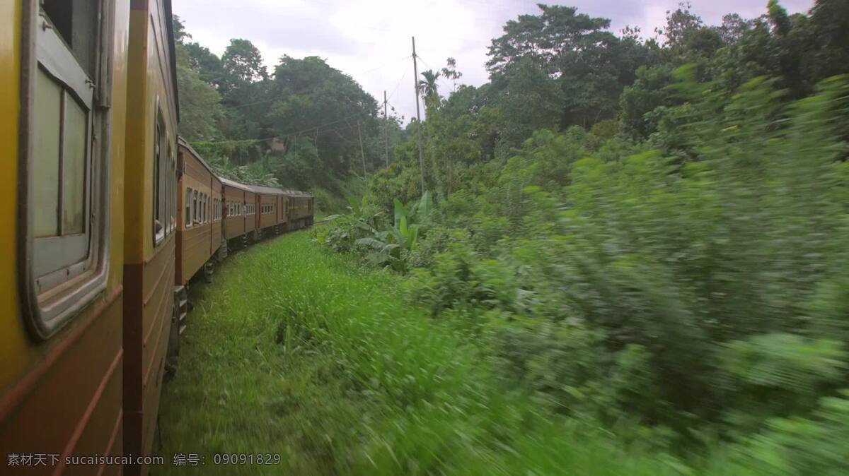 斯里兰卡 火车 穿越 丛林 自然 运输 旅行 亚洲 铁路 旅游 站 林地 森林 背包 冒险 马车 机车