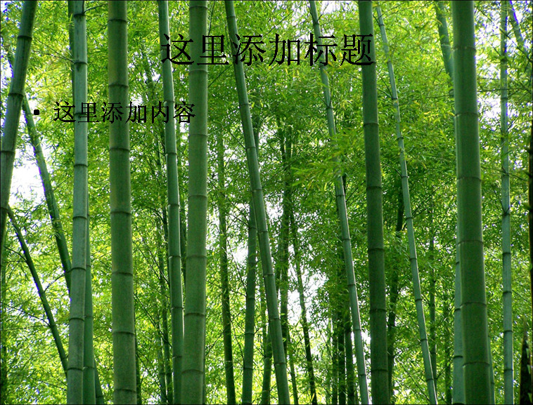 翠 甲天下 蜀南竹海 高清 电脑 封面 绿色 竹林 护眼 自然风景 模板