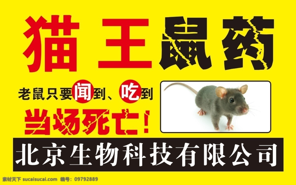 猫王鼠药 鼠药 老鼠药 猫王老鼠药 鼠药名片 老鼠药名片 鼠药卡片 老鼠药卡片 名片卡片 广告设计模板 源文件