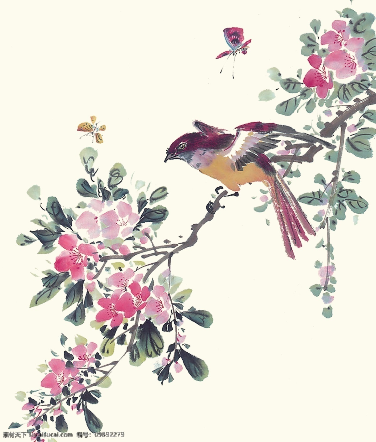 花鸟工笔画 国画 水墨画 工笔画 花鸟 psd素材 花鸟素材 植物 白色