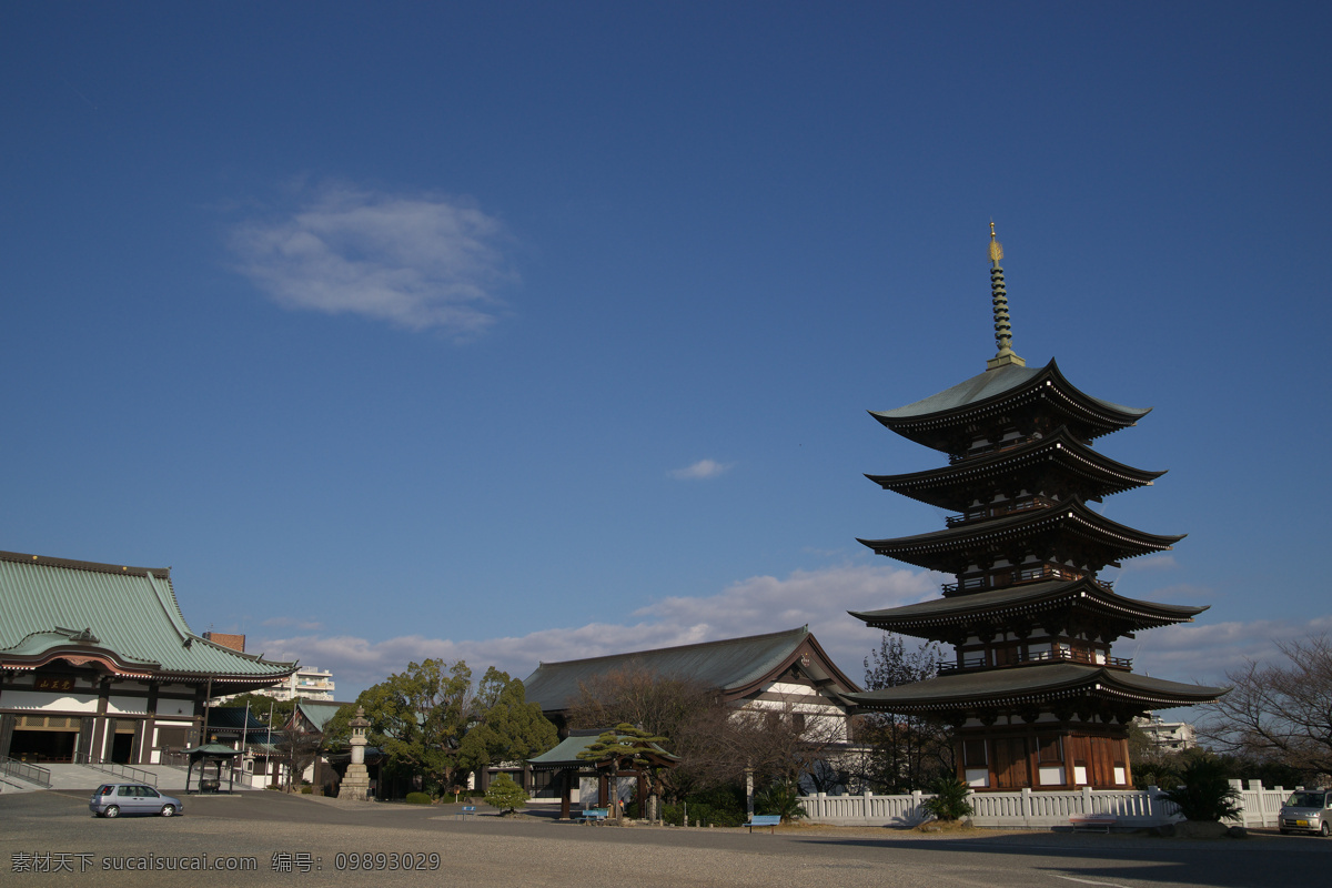 日本奈良 兰州 去日本 旅游 海洋 大海 花草 奈良 公园 美丽 大自然 名古屋 国外旅游 旅游摄影