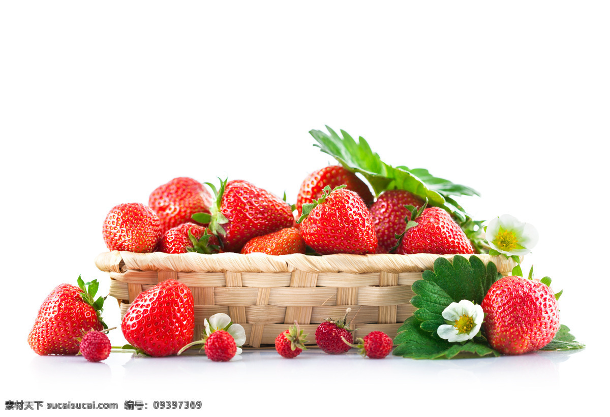 篮子 新鲜 草莓 水果 美味 生物世界