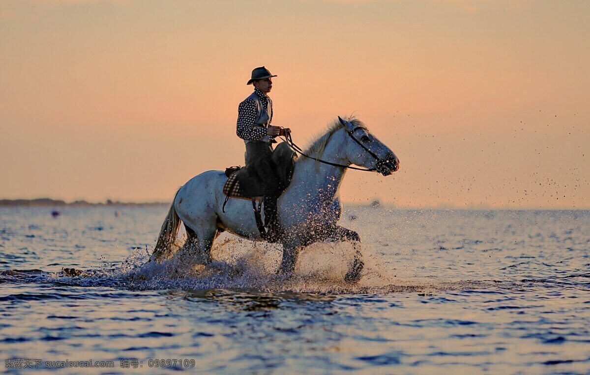 海边骑士 海边 骑士 马术 夕阳 黄昏 风景 自然景观 自然风景
