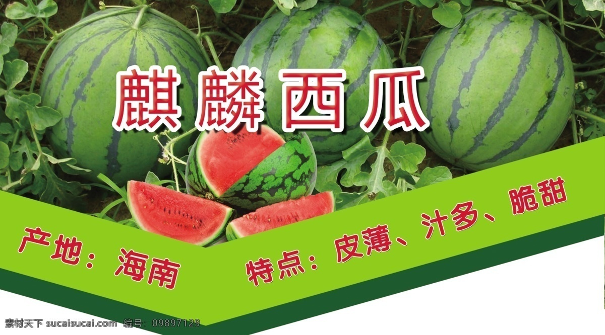 麒麟西瓜 产地海南 美味 大西瓜 异形