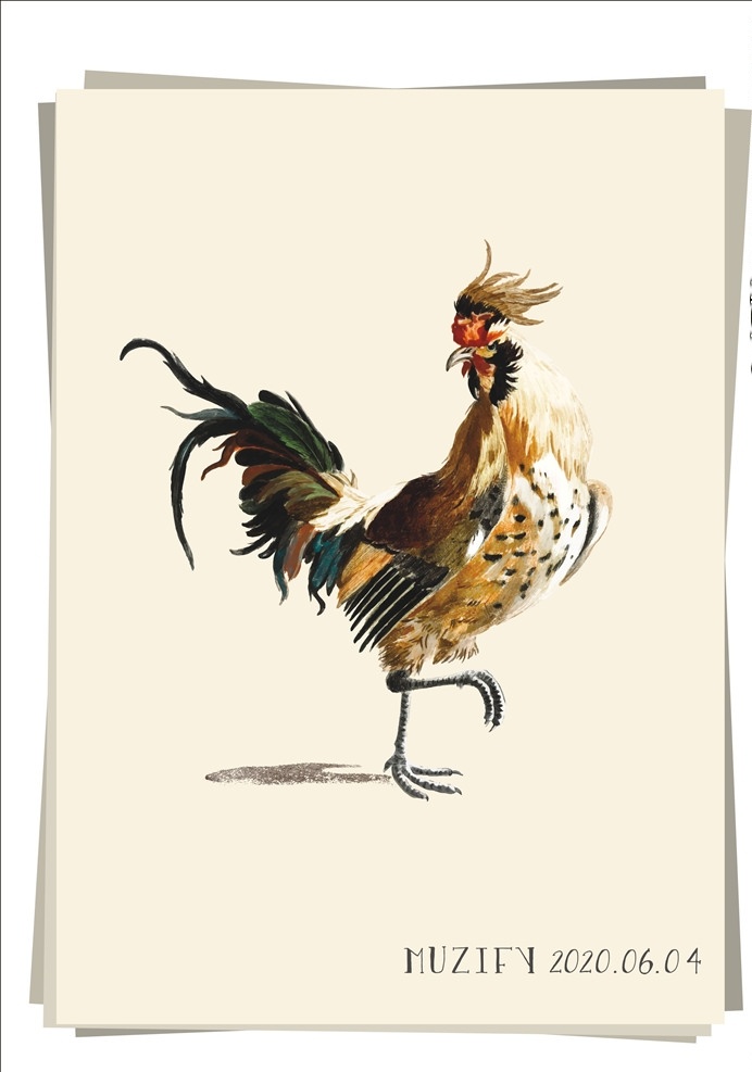 公鸡 彩色图稿 家禽 家畜 鸡 花鸟鱼虫宠 素描画 生物世界 家禽家畜