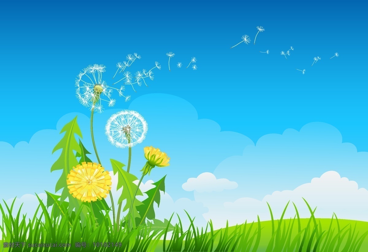 精美 蒲公英 背景 春季 花 花卉 黄色 绿色 植物 矢量图 其他矢量图