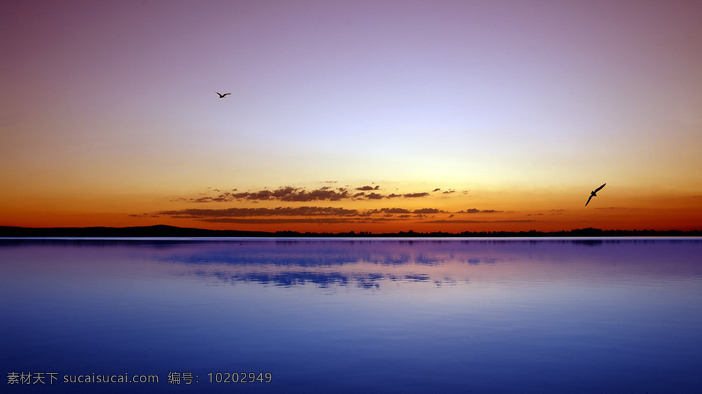 景观 夜 鸟 水 海洋 海 壁纸 美容 蓝色