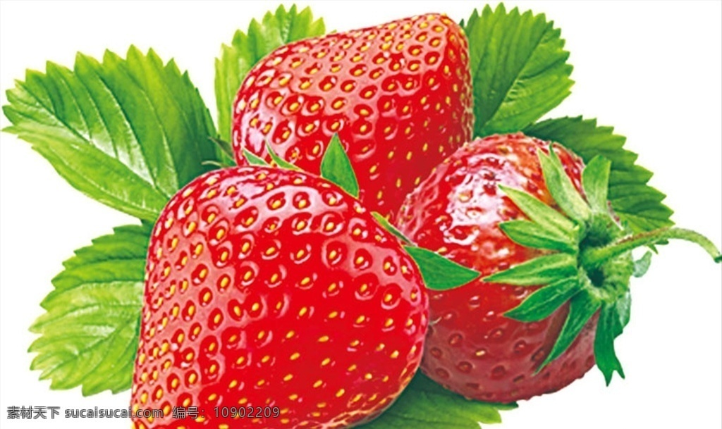 草莓 食物 实物 分层 水果