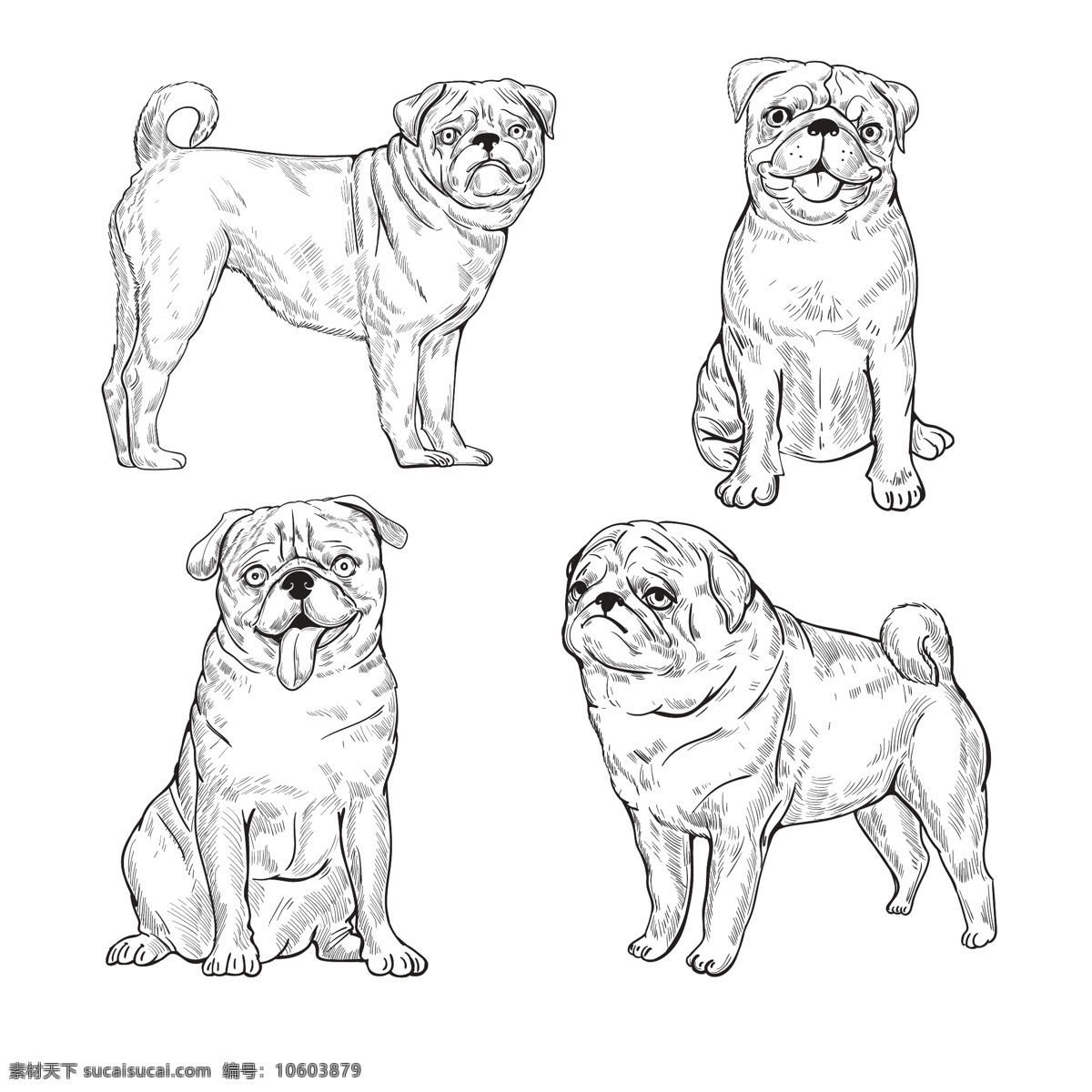 宠物 动物 狗 卡通 卡通狗 可爱 犬 手绘 素描狗狗 素描