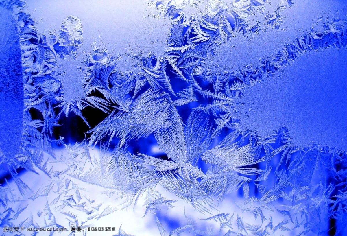 美丽的冰花 冬天雪景 冬季 美丽风景 美丽雪景 白雪 积雪 风景摄影 冰花 自然风景 自然景观 蓝色