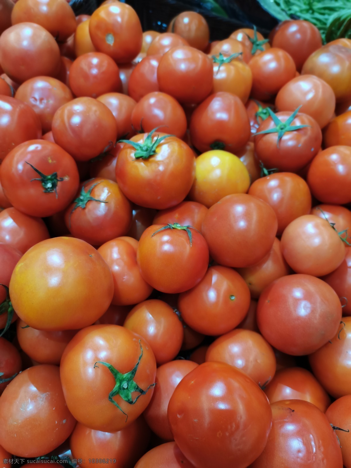 西红柿图片 超市 西红柿 番茄 红番茄 蔬菜 菜 售卖 绿色 健康 绿色蔬菜 生物世界