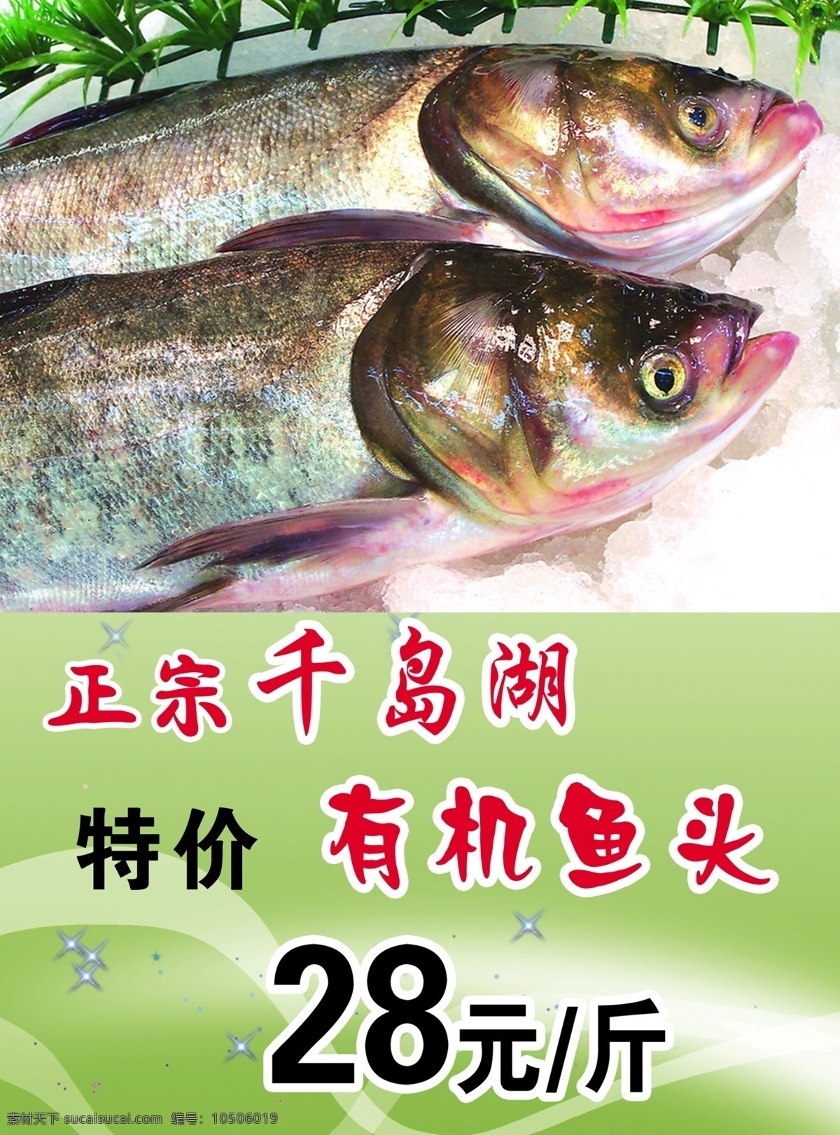 餐饮 宣传单 千岛湖 特价 有机鱼头 海报 宣传海报 彩页 dm