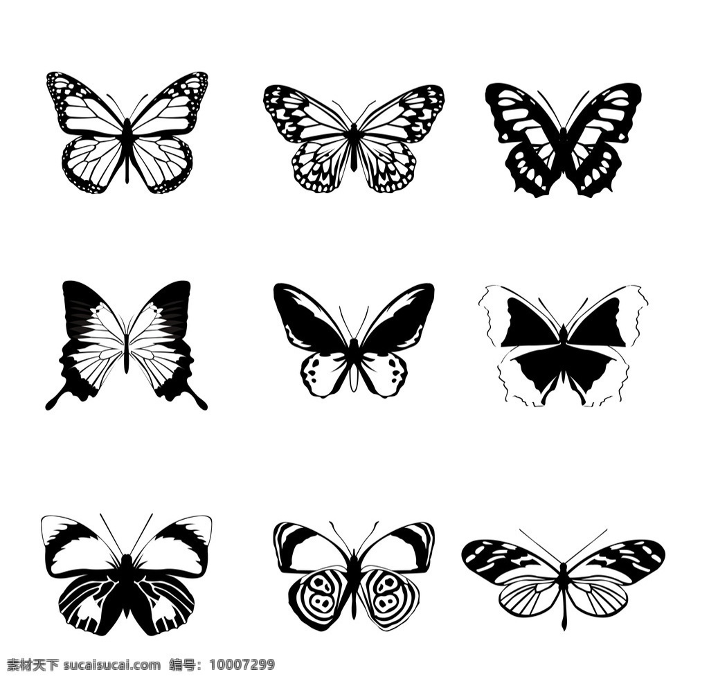 蝴蝶 黑白蝴蝶 手绘 昆虫 翅膀 蝴蝶图案 生物世界 矢量