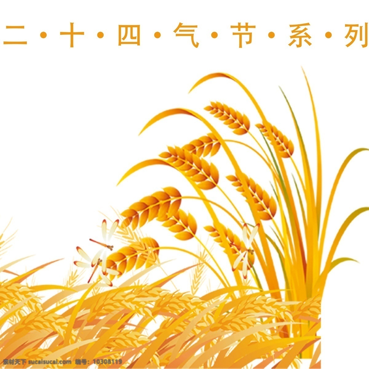 金色 小麦 小满 装饰 元素 金色麦子 背景装饰 卡通粮食 小满装饰 麦子熟了