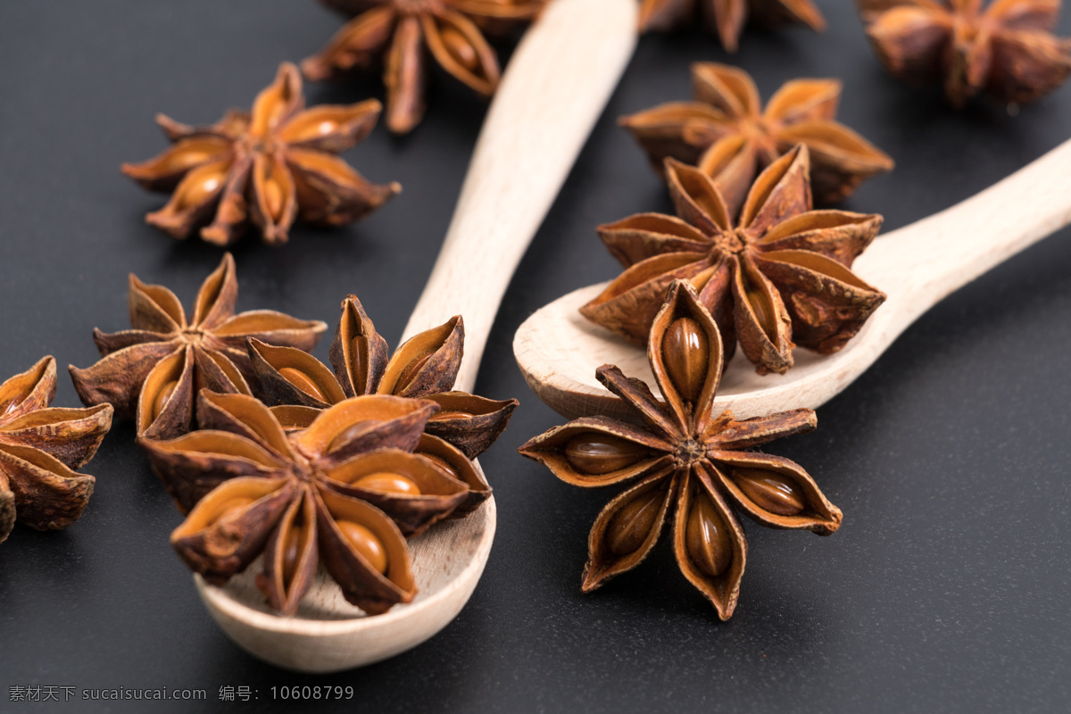 八角茴香 五香 调味 花椒 辣椒 桂皮 陈皮 茴香 青椒 红椒 红花椒 绿花椒 绿椒 调料 调料大全 五香调料 麻辣 麻辣调料 调货 小茴香 豆蔻 干木耳 调味品 八角 花椒树 香料 辣椒面 苦豆 草寇 香叶 调料堆 大茴香 唛角 五香调味 餐饮美食