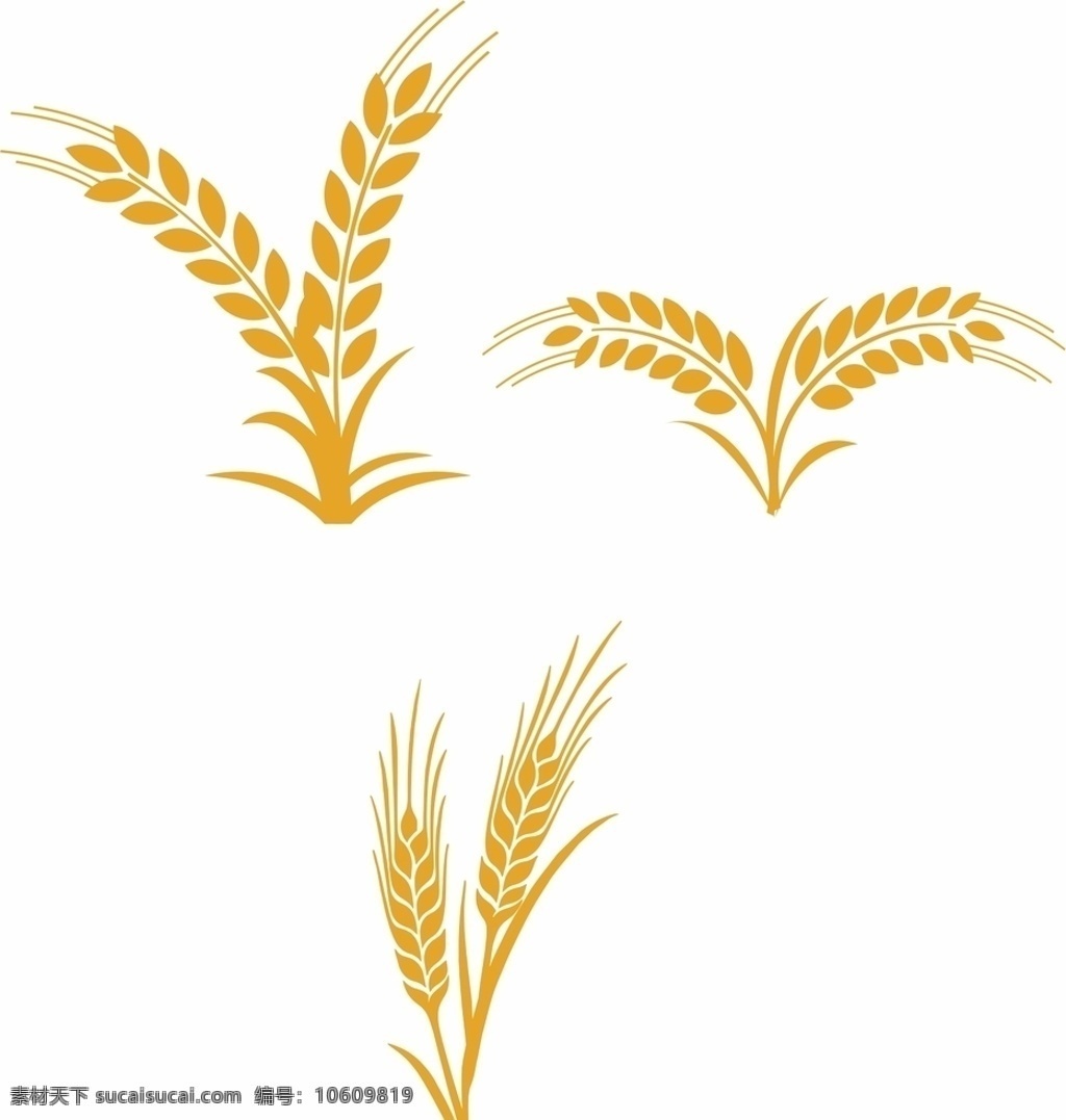 麦子图片 麦穗 麦子 小麦 麦穗矢量 矢量麦穗 矢量小麦 小麦矢量 矢量麦子 麦子矢量 麦子素材 植物素材 麦子元素 植物元素 矢量素材植物