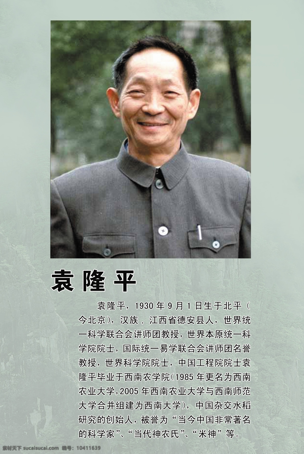 袁隆平 广告设计模板 科学家 名人 名人名言 名言 源文件 水稻之父 矢量图 现代科技