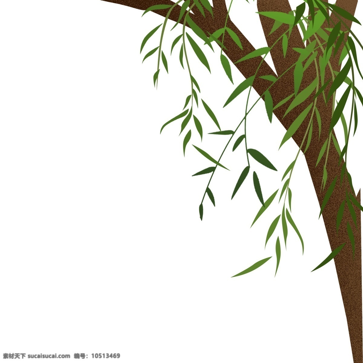 春天 植物 柳树 装饰 水彩画 插画 绘画 卡通 彩色 创意 设计元素 简约 现代 时尚 小清新 文艺 文雅 精致精美 绘画手稿