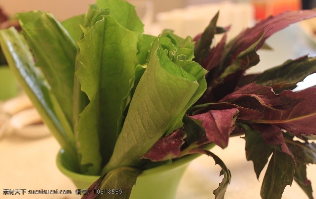 香麦 油麦菜 蔬菜 绿色 养生 健康 紫苏 火锅 涮菜 涮肉 天然 传统美食 餐饮美食