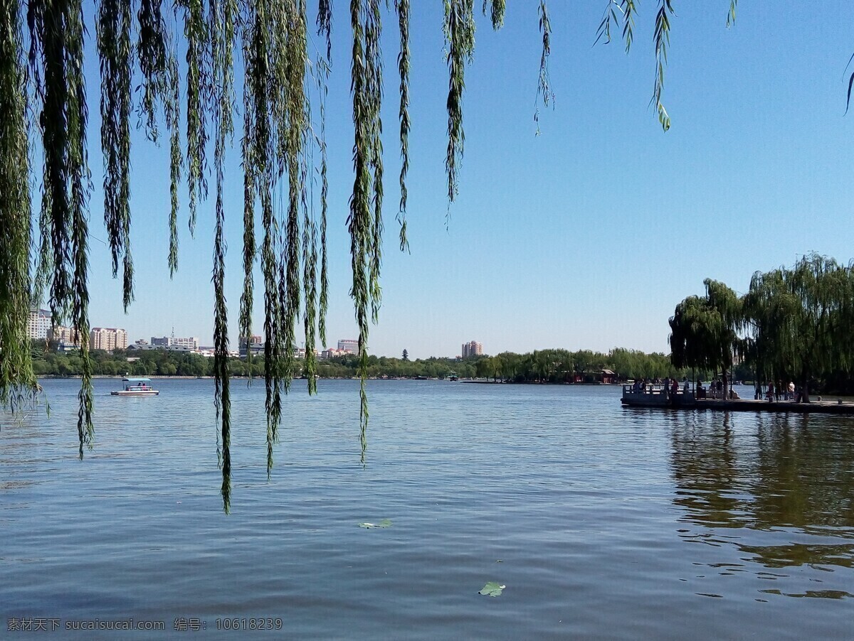 大明湖畔 大明湖 风景 湖水 自然 景观 自然景观 山水风景