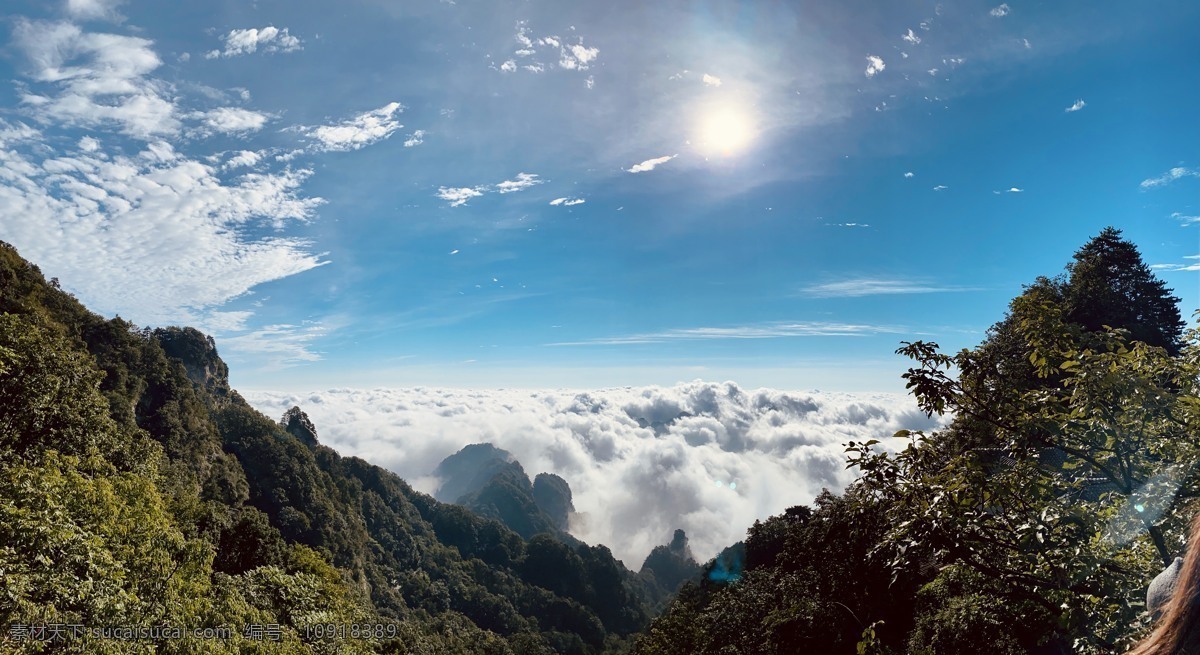 金顶 高山 森林 蓝天 云海 2020 年 武当山 旅游摄影 国内旅游