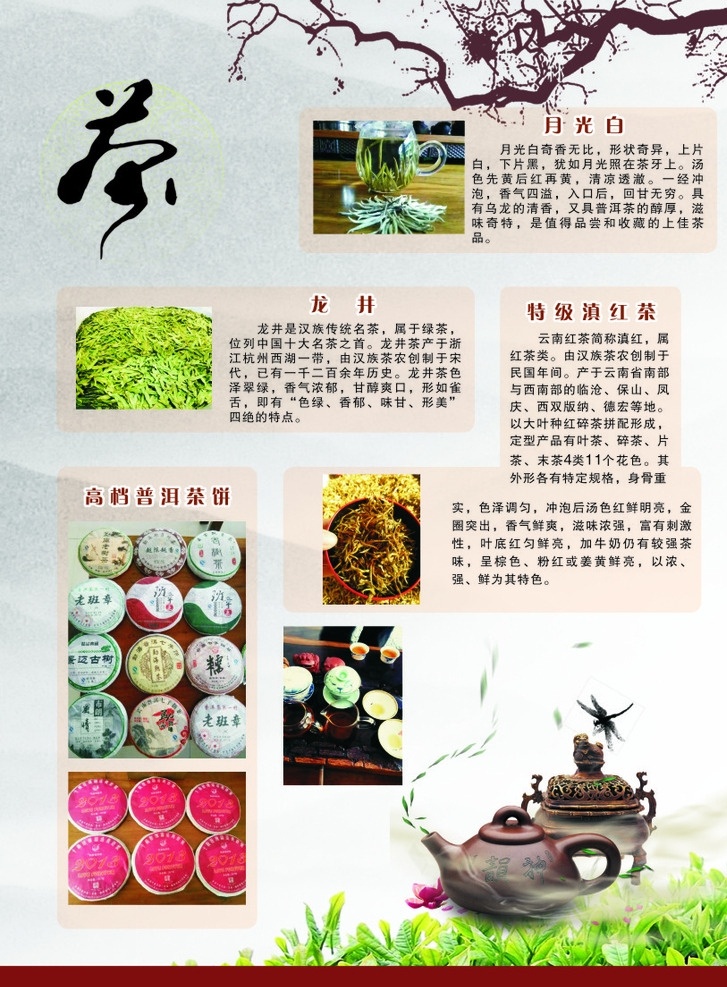 茶叶 宣传单 刺五加 茶产品 dm dm宣传单 广告设计模板 源文件
