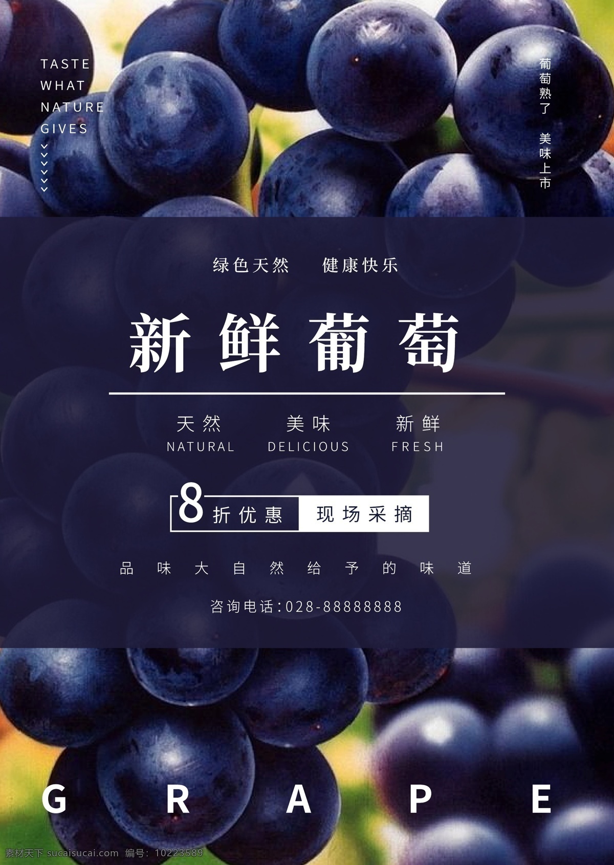 新鲜葡萄 葡萄 采摘 8折 优惠 紫色 新鲜 dm宣传单