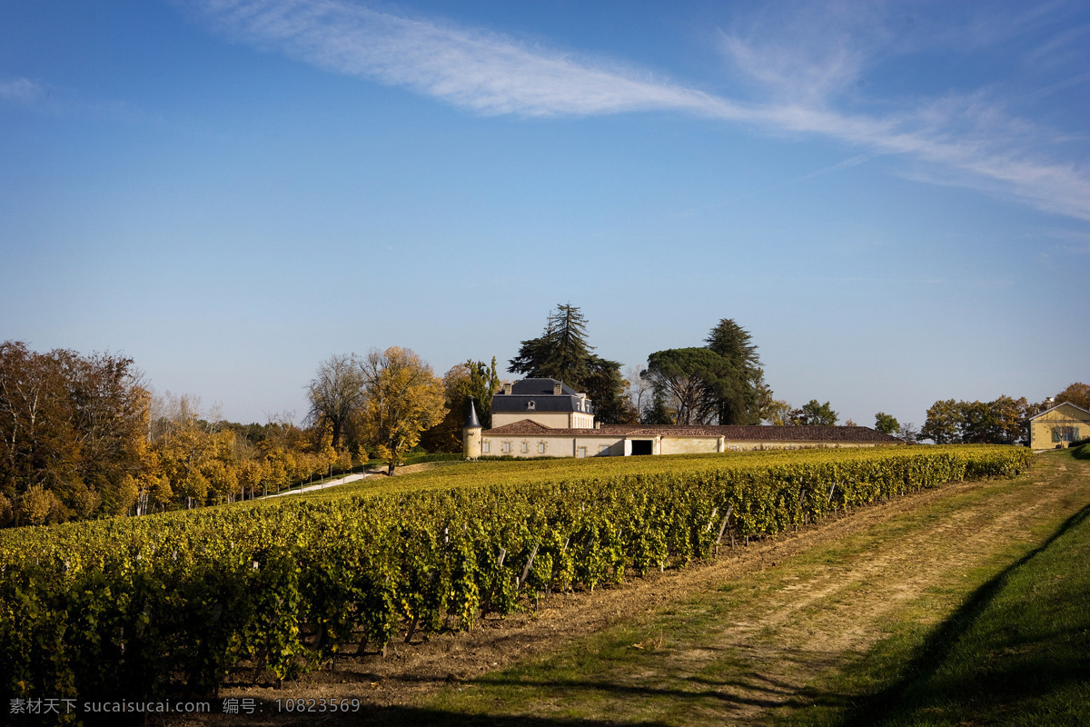 乡间小路 葡萄园 酒庄 法国酒庄 城堡 田园风光 蓝天白云 晴朗的天空 葡萄树 国外旅游 旅游摄影