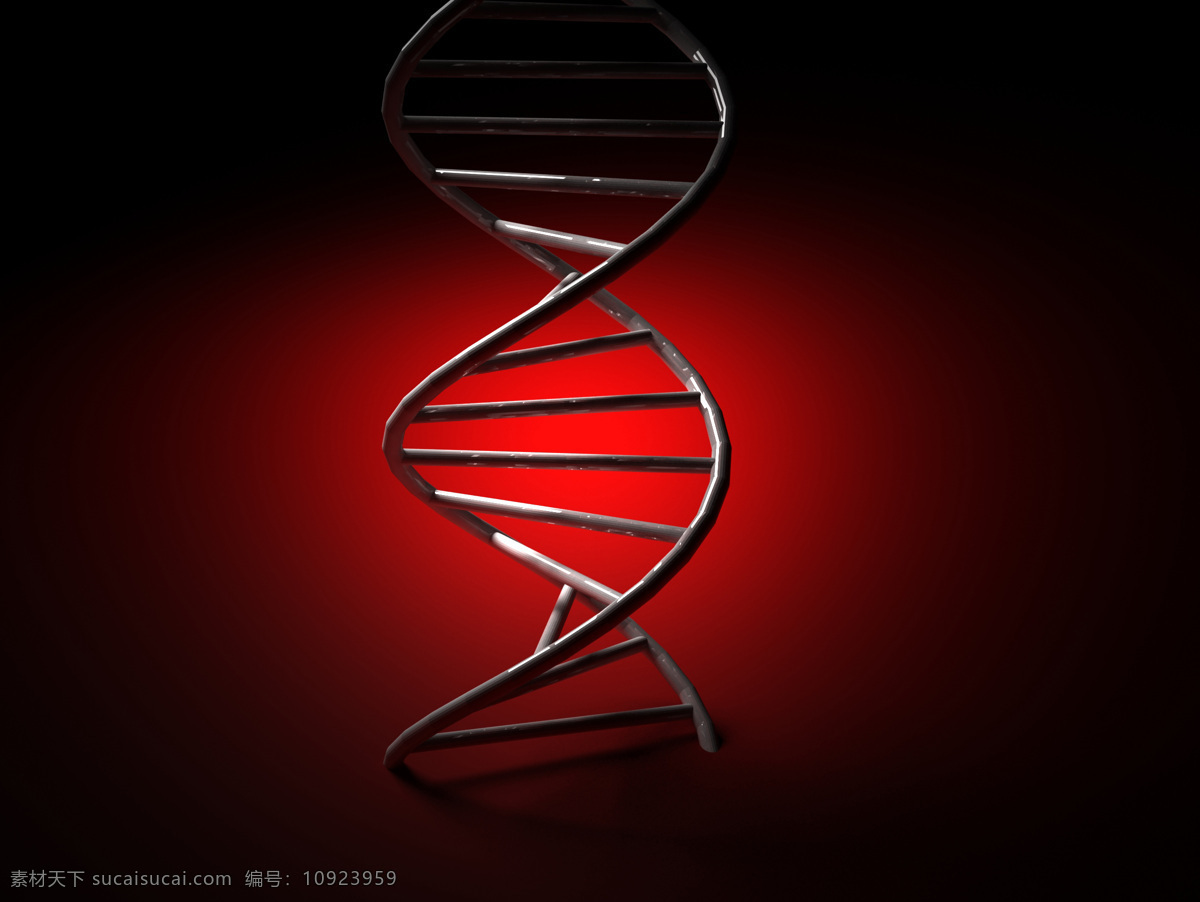 dna 亲子鉴定 dna鉴定 设计图 现代科技 医疗护理 医疗护理图片