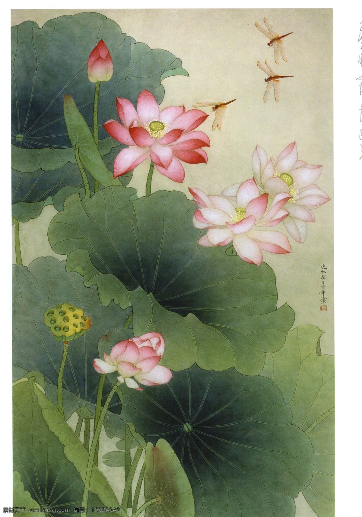 国画 花鸟 荷花 蜻蜓 池塘 绘画书法 文化艺术