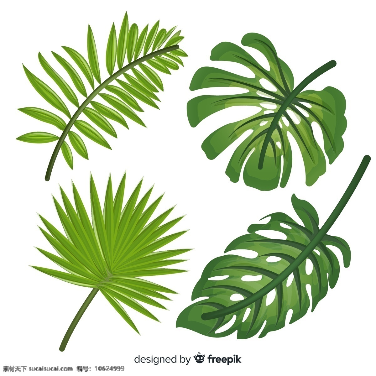 逼真 绿色 热带 植物 叶子 棕榈树叶 龟背竹叶 生物世界 树木树叶