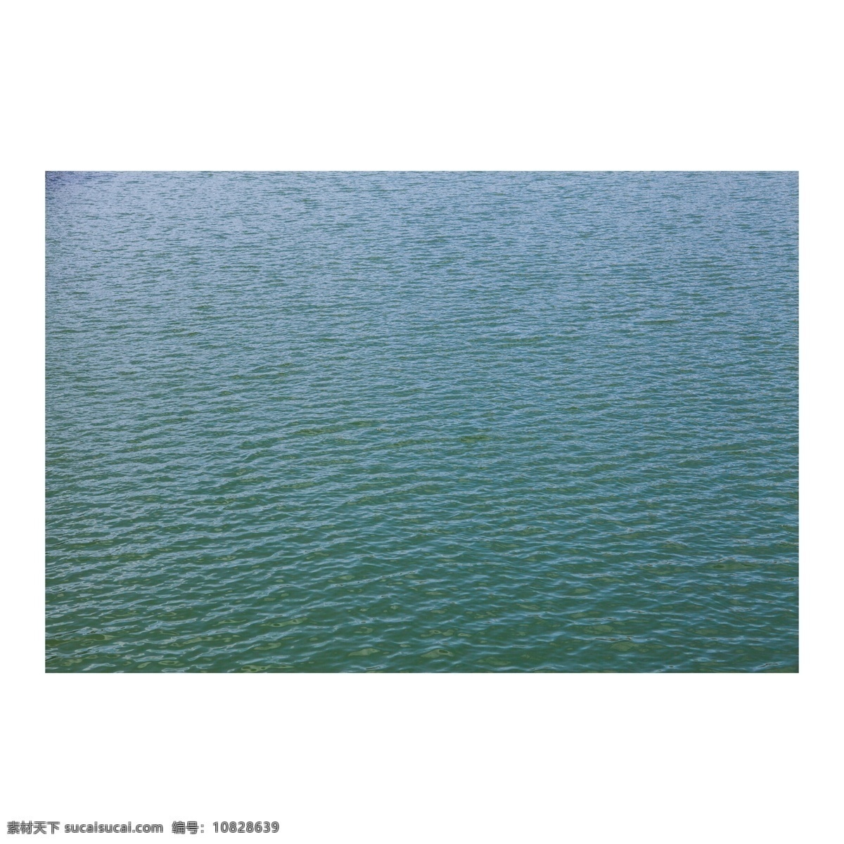 波光粼粼 绿色 水面 绿色水面 微波 荡漾 湖面 湖水 放松 休闲 景观 景点 自然 旅游