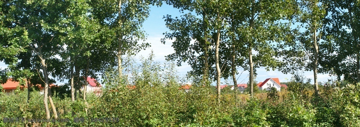 房子树木摄影 宽幅风景 房子 树木 树林 乡间 乡村 美丽风景 景色 美景 旅游 旅游景点 著名景点 风景旅游区 摄影图 自然风景 自然景观 黑色