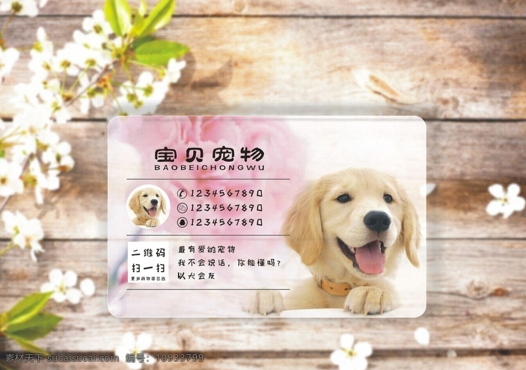 宠物名片 宠物 萌宠 透明 名片 二维码 唯美 简约 有爱心的 可爱的 彩色的 优雅 名片卡片