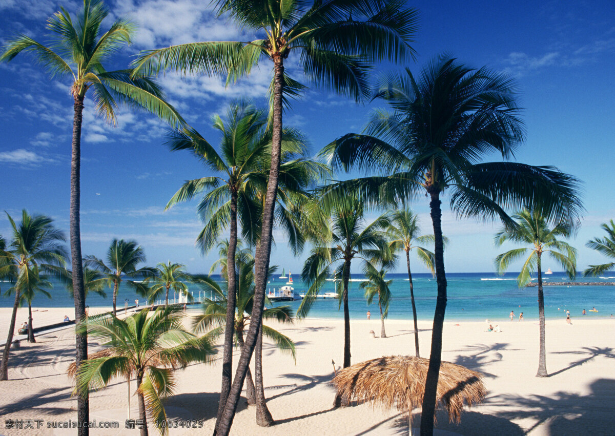 蓝天免费下载 观光 海岛风情 海浪 蓝天 旅游 沙滩 椰树 异国风情 风情海边 风景 生活 旅游餐饮