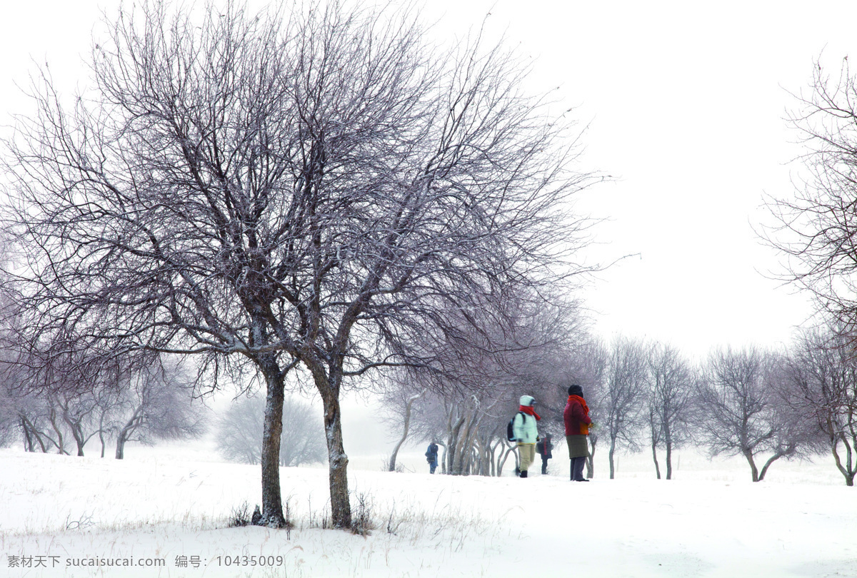冬天 雪景 天空 蓝天白云 度假 风景 美景 自然景观 自然风景 旅游摄影 旅游 雪地 冬季树木 雪景图片 风景图片