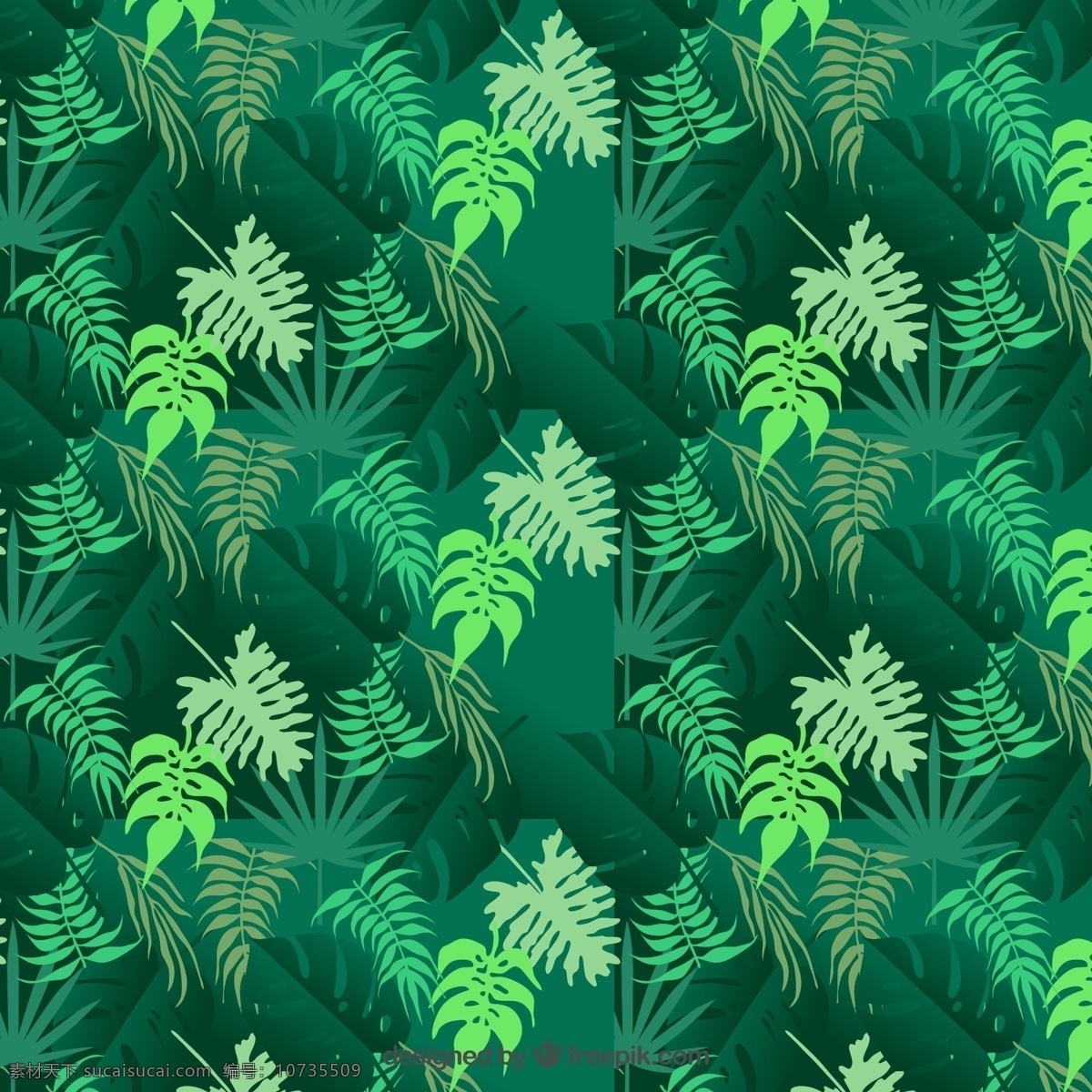 热带树叶图案 图案 绿色 植物 热带 无缝 模式 异国情调 植被