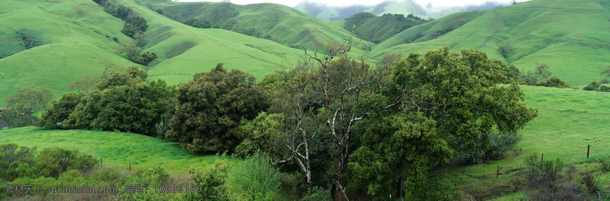 绿油青山 绿山 青山 绿草 空旷山坪 宽幅 树木树叶 生物世界