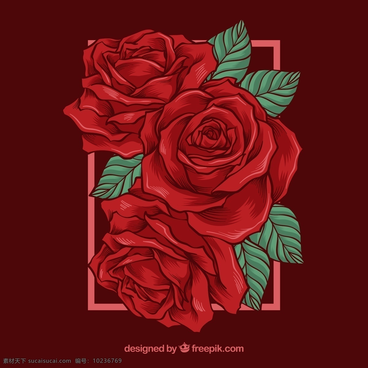 手绘 玫瑰花 矢量 红玫瑰 花卉 矢量图 高清图片