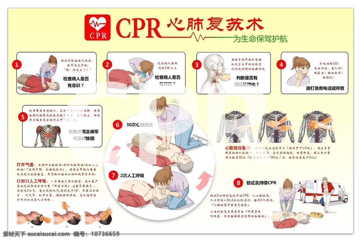 心肺 复苏术 教学 cpr 心肺复苏 急救技能 hse培训 心搏骤停 人工呼吸 新疆风光 分层