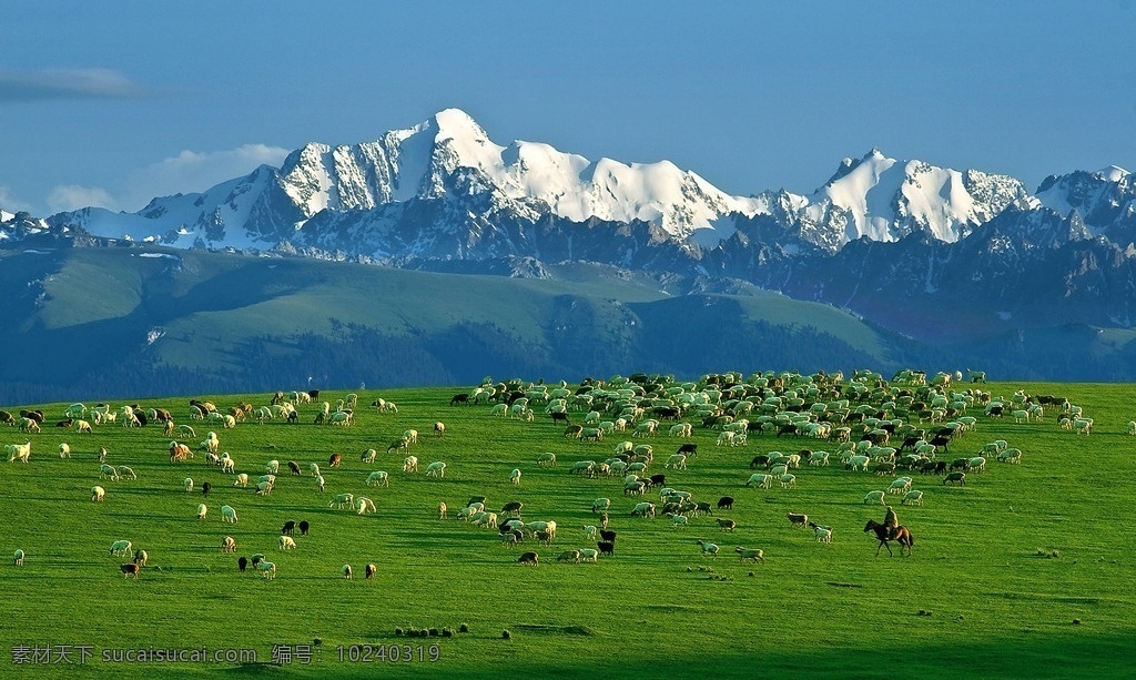 伊犁风光图片 塞北 伊犁 高清 自然景观 自然风景